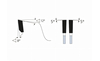 Lame de scie circulaire HM coupe longitudinale 300 x 3,2/2,2 x 30 mm, Z=72 WZ K-111300-300-030 1