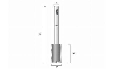 Fraise à rainurer Z2 M2030-100-8 TI-M2030-100-8