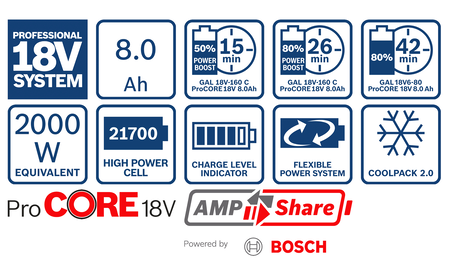 BOSCH ProCORE18V 8.0Ah Professional Pack de batteries B-1-600-A01-6GK 1